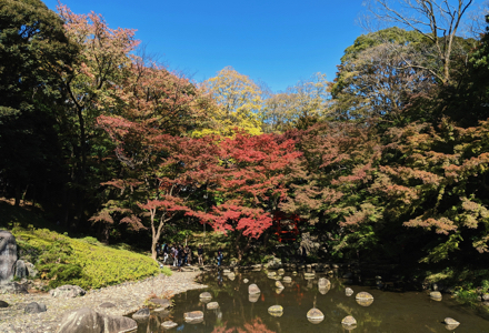 某市自然公園様